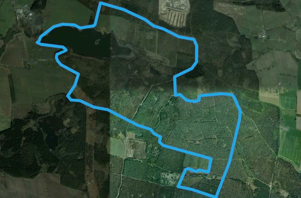 13557659_10154361881719181_4969617227110984899_n