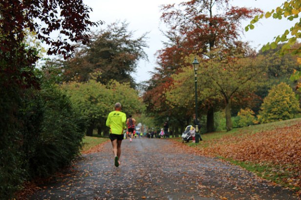 30370720472_879c2e608a_z