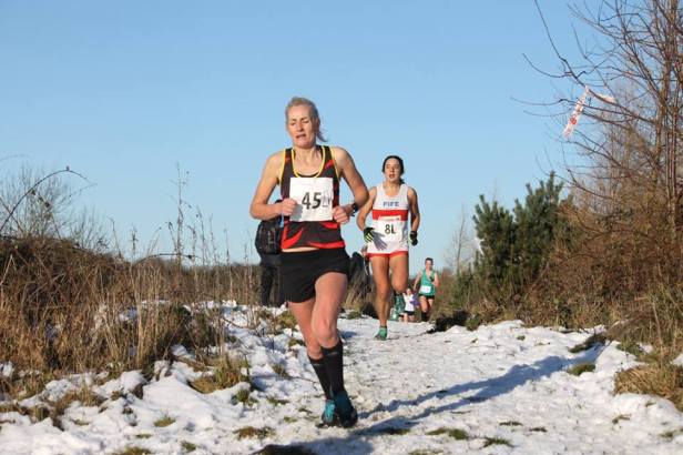 26804440_1731713173527349_3094665144381123048_n