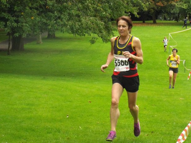 41932681_1123917157766820_2345448126715789312_n