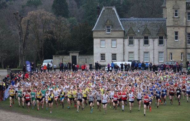 52436905_2804363859788621_9000635728668917760_n