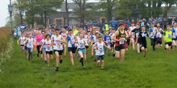 61447967_609664499515566_2240022059876876288_n